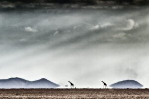 Journey