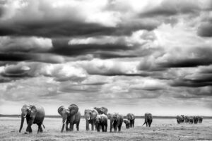 March in the Clouds