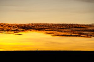 Daybreak