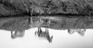 Illusion