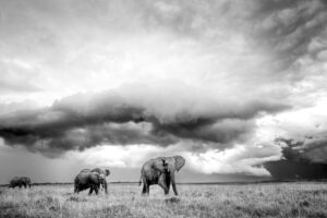 Revitalizing Clouds
