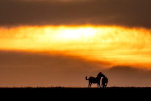 Sundown