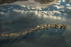 Walking in the Clouds