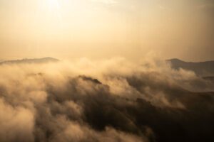 Amber Fog