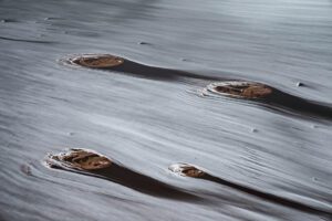 Ghosts of Salt