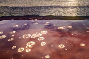 Salt Spheres
