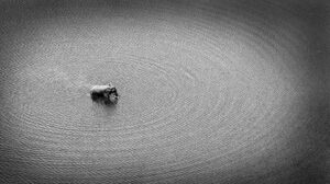 Ripples in Silver