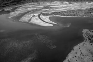 Flamingo Waterways