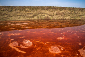 Patterns of Salt